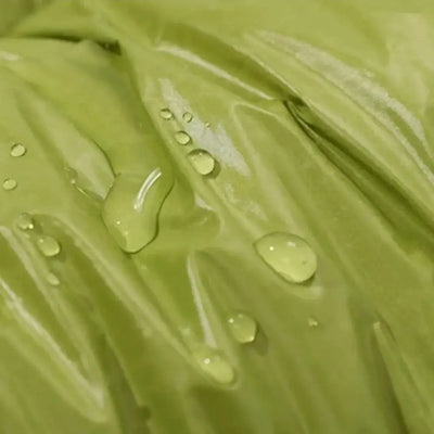 Daunenschlafsack 800 fillpower